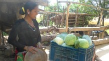 Radha tulee toimeen omillaan