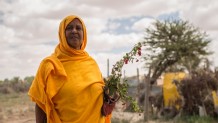 Somalia