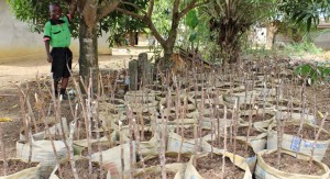 Liberia__Project_New_Outlook_Finn_Church_Aid_Bag-garden