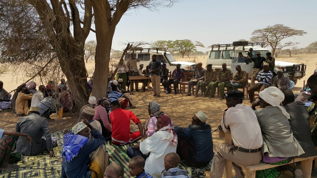 Peace negotiations often start with participants sitting under a tree and discussing common problems.