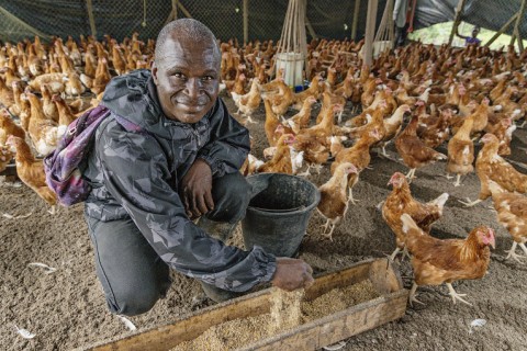 Projektikoordinaattori David S. Dianue Sr. huolehtii naisten kouluttamisesta kanojen ruokinnassa ja hoidossa sekä muun muassa verkostoituu muiden munantuottajien kanssa.Kuva: Ville Palonen.