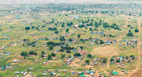 The surroundings of South Sudan's capital Juba in December 2015.