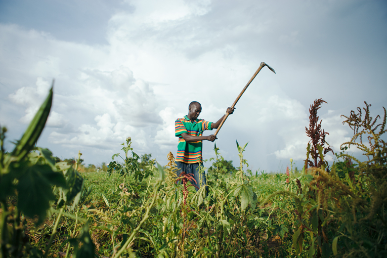 Wani Garanep har på Kyrkans Utlandshjälps kurs lärt sig hur man brukar jorden. Nu växer det bland annat sesam, okra och tomater bredvid familjens lerhydda.