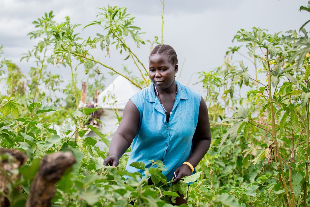 Ugandalainen Muja Rose tutkii viljelmiä.
