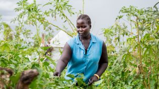 Ugandalainen Muja Rose tutkii viljelmiä.