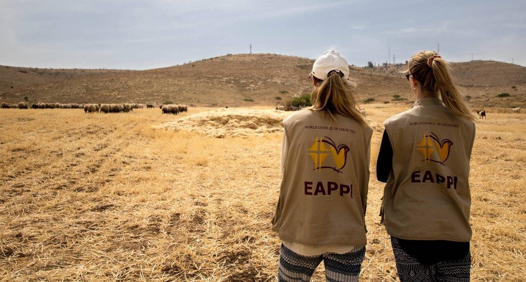 EAPPI-ihmisoikeustarkkailija-vapaaehtoisia pellolla, jossa on lampaita.