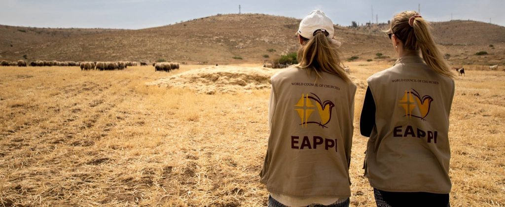 Kaksi EAPPI-liiveihin pukeutunutta henkilöä katsoo nurmella syöviä lampaita.