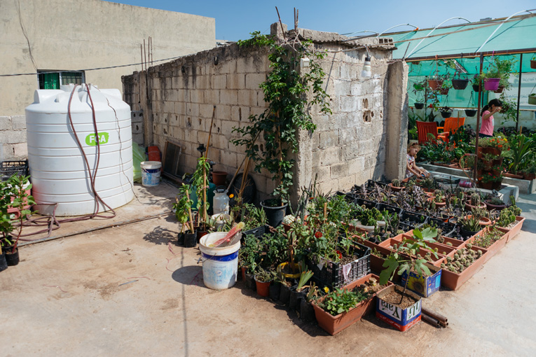 A big water tank and pot garden on the rooftop. 