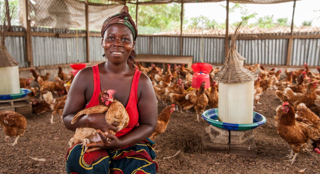 Ugandalainen nainen pitelee kanaa sylissään kanalassa.