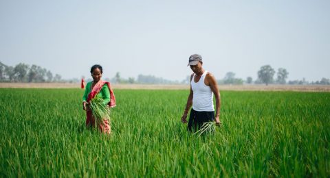 ”When we moved here, there was nothing” – FCA supports livelihood projects in ex-bonded labor communities in Nepal