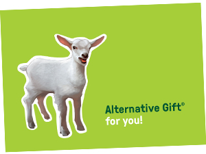Alternative Gifts - Finn Church Aid