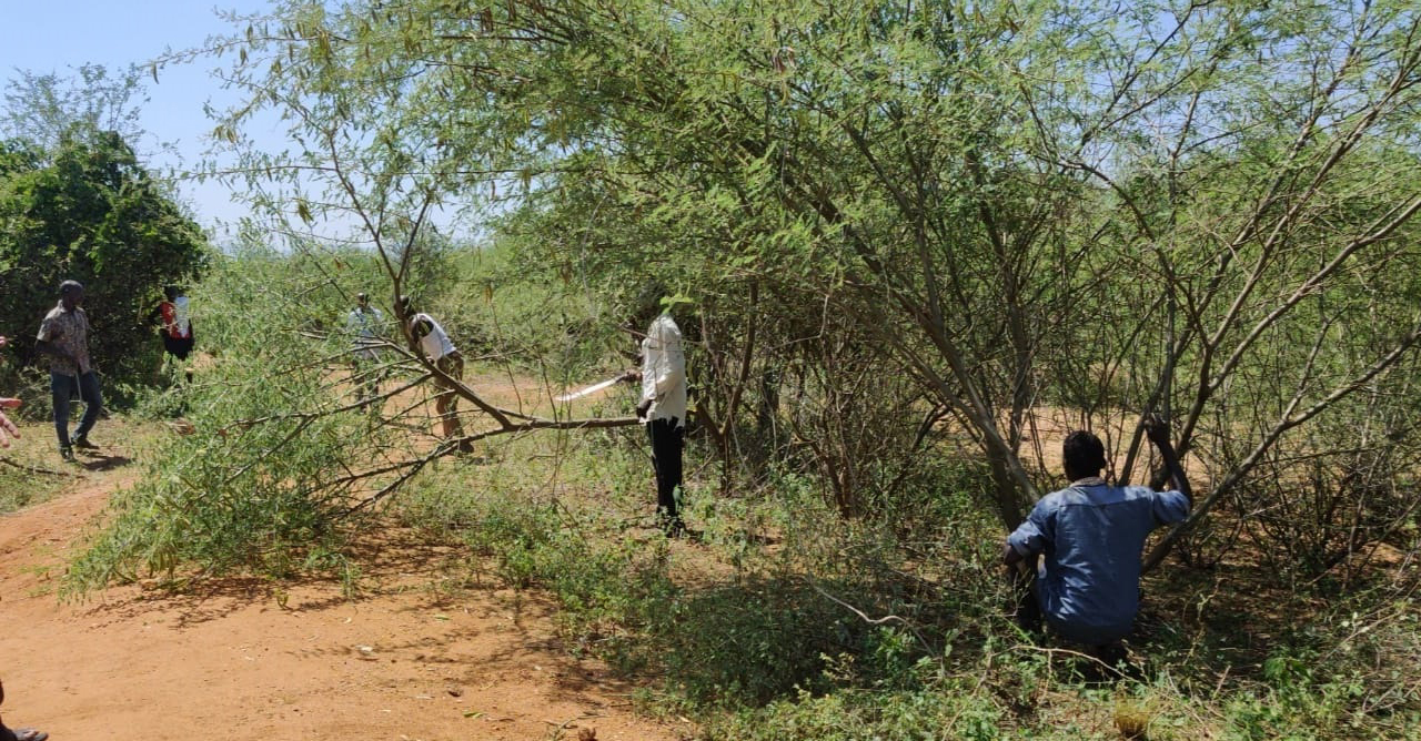 Marakwet and Pokot youth clearing the bush along the road connecting the two communities in Northern Kenya.