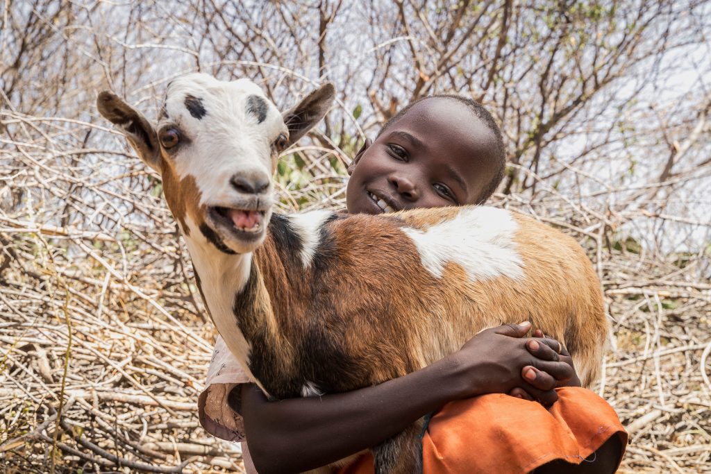 A child carrying a goat.