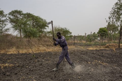 Kuivuus ja nälkä uhkaavat 60 miljoonan ihmisen elämää Itä-Afrikassa