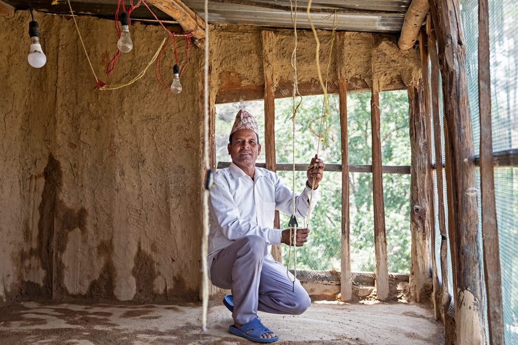 A man is kneeling down inside a chicken pen.