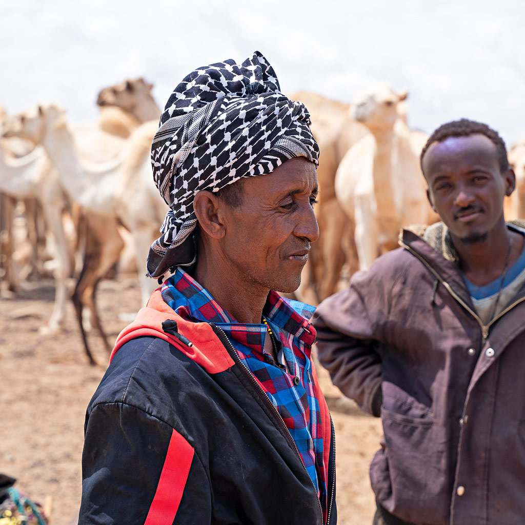 En kenyansk man med turban i bild, bakom honom står en hjord kameler.