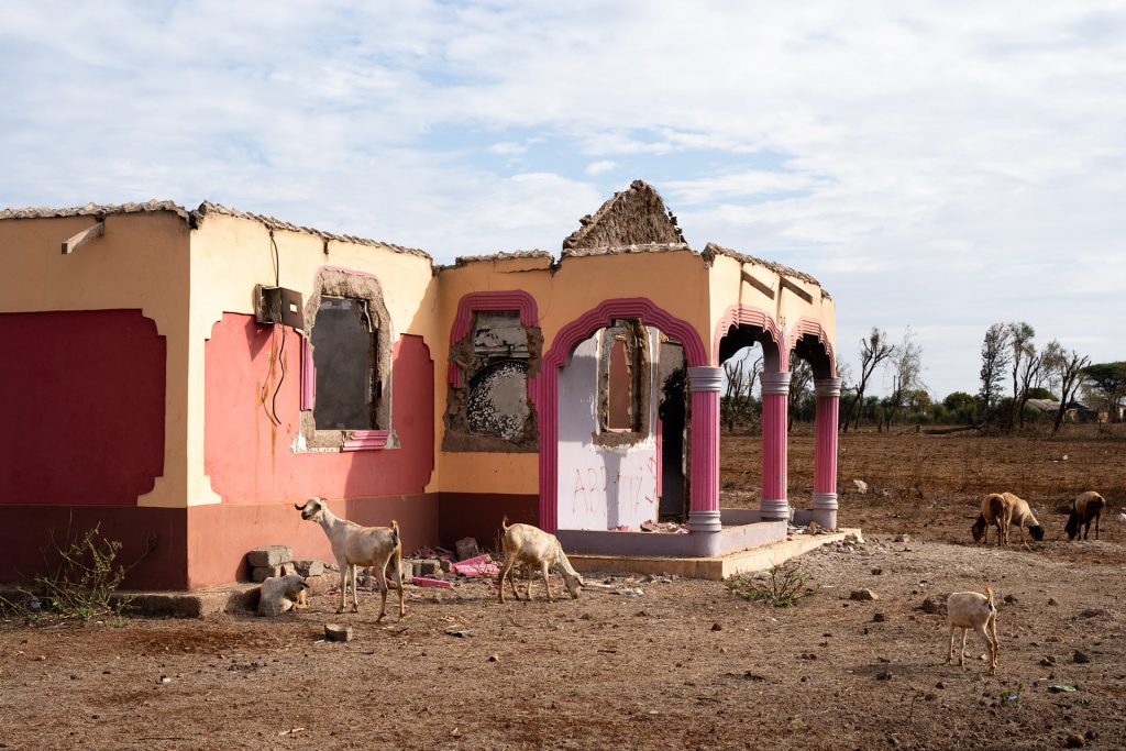 Ruins of a house in Kenya. There are goats grazing next to the ruins. 