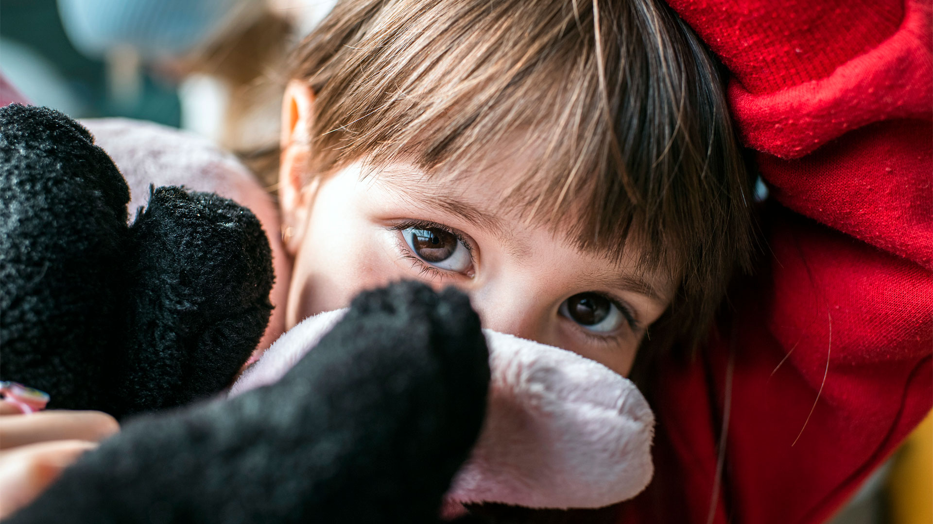 A young girl peers over a soft toy