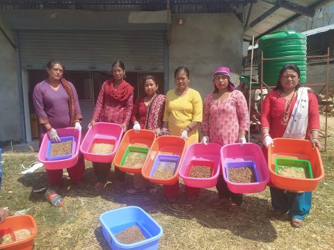 Fly larvae help Nepalese women create innovative sustainable business  