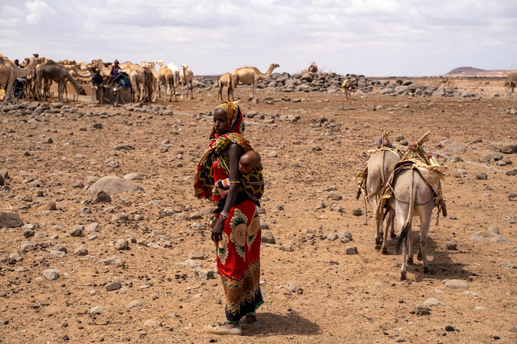 A woman with a baby strapped to her back stands in an arid landscape next to donkeys and camels