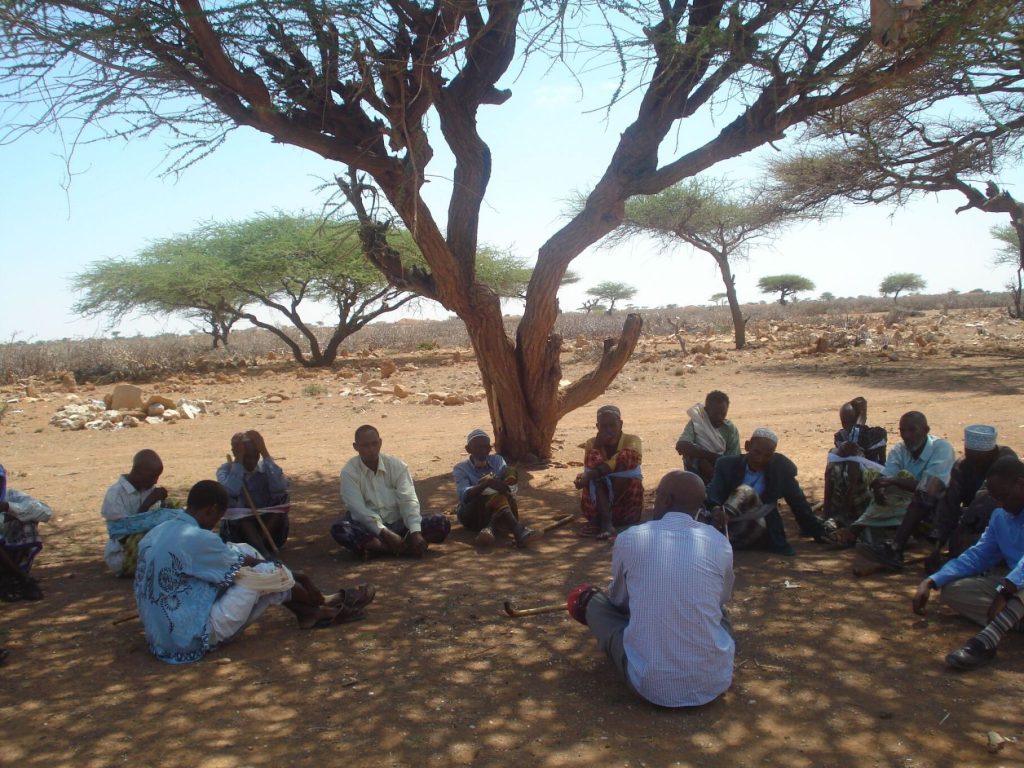 A number of people sit in a circle under a tree in a rural and arid landscape