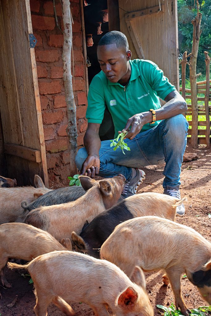 En ung man sätter sig på huk på marken och matar grisar. Mannen bor i Centralafrikanska republiken.