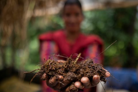 In Nepal, climate resilience starts with society