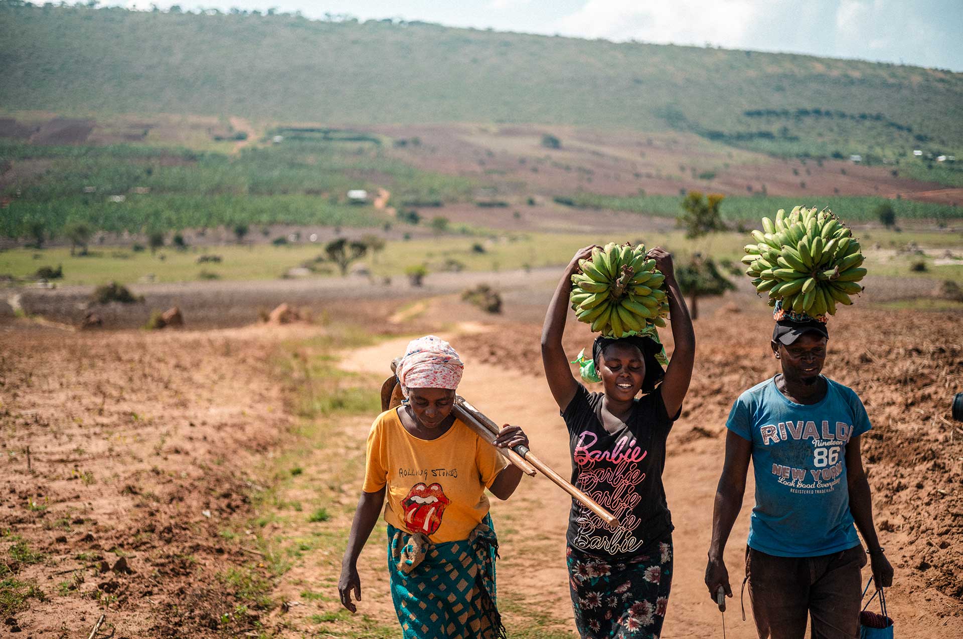 Kolme henkilöä kävelee tiellä Ugandan maaseudulla. Heistä keskellä oleva tyttö ja oikeassa laidassa oleva mies kantavat päänsä päällä ruokabanaaniterttuja.