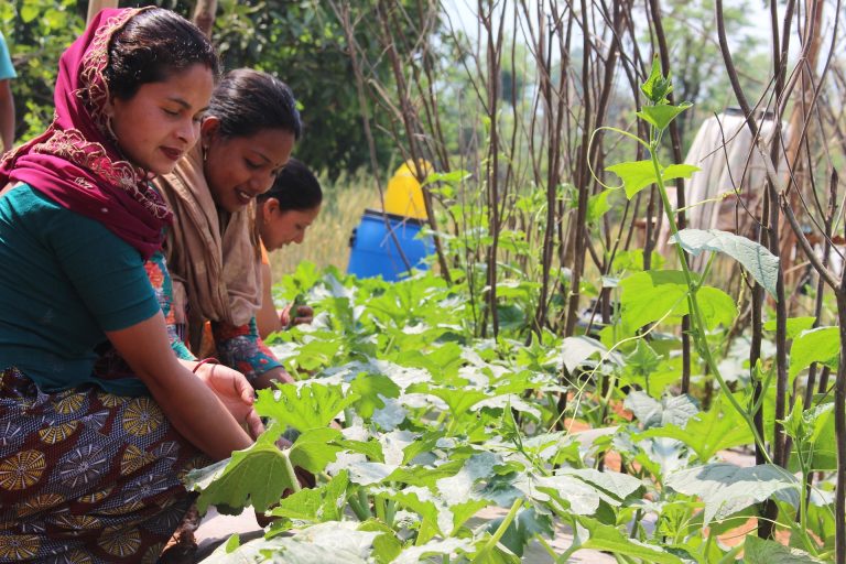 Smiling women tend to a patch of plants in a garden