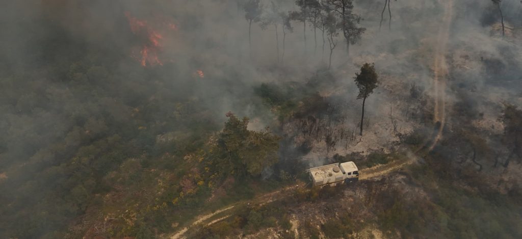 FCA allocates 30,000 EUR to support those affected by the wildfires in Syria