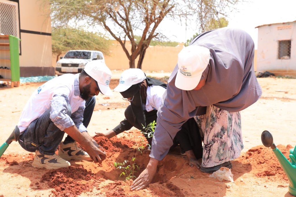 Three people collaborating in planting a sapling into a hole in the ground.