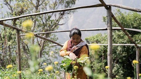 Chani Maya Lo’s life is blossoming ten years after devastating Nepal earthquake