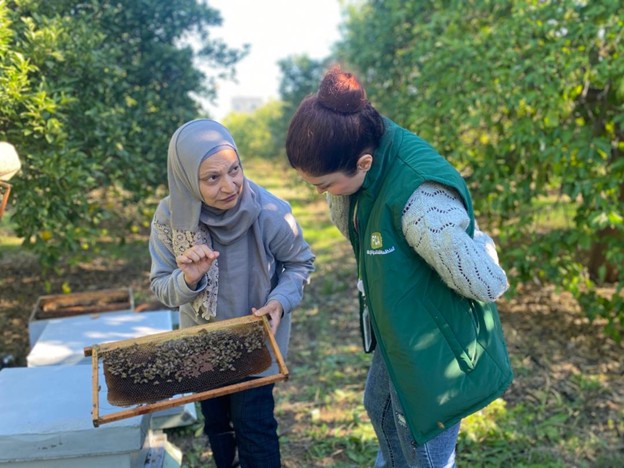 Two women looking at a beehive.