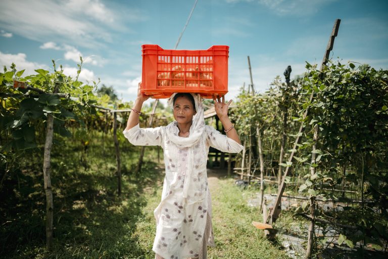 A woman in a sari stands in a field holding an orange plastic crate full of vegetables on her head