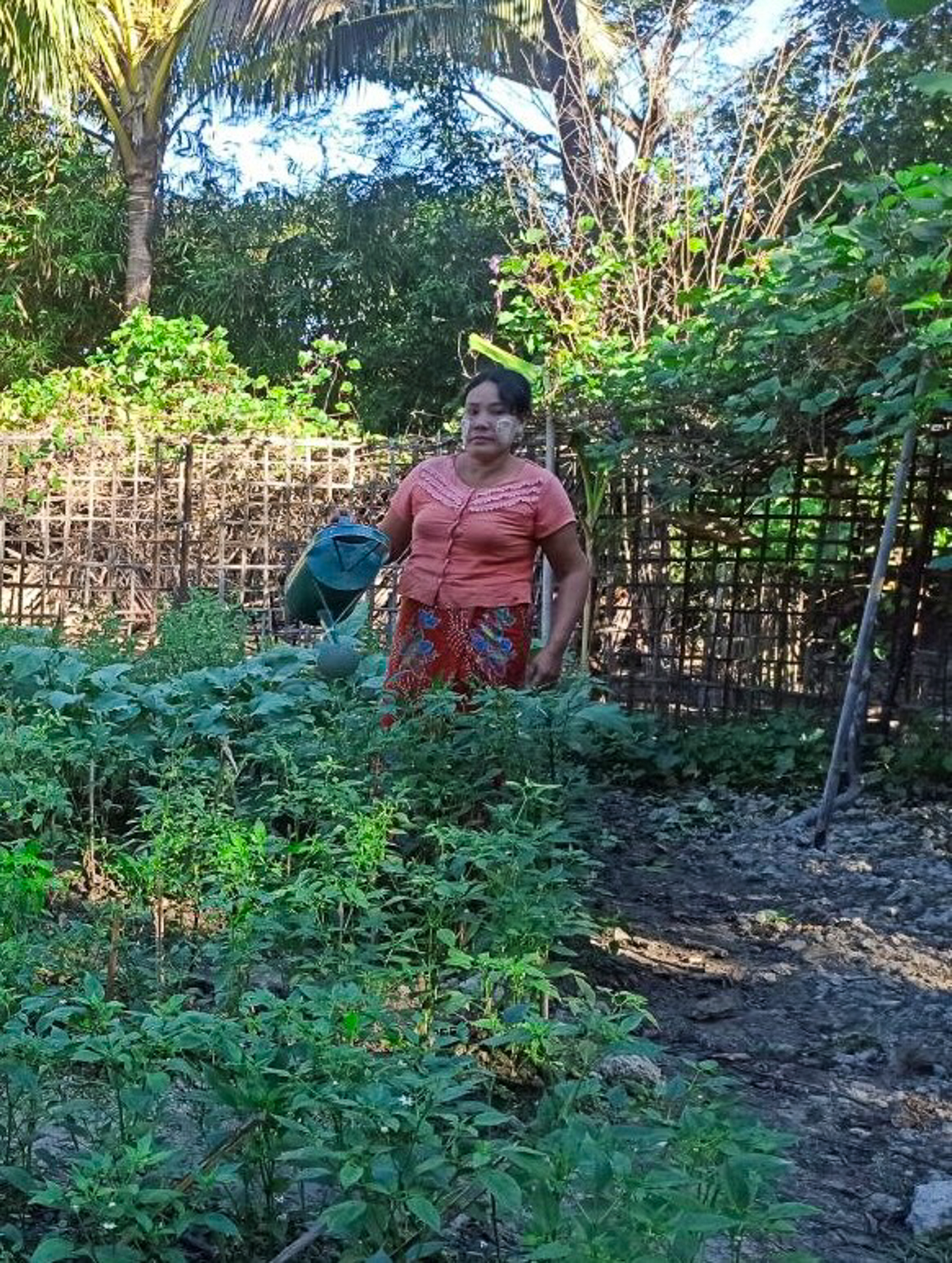 A woman waters plants in a garden.