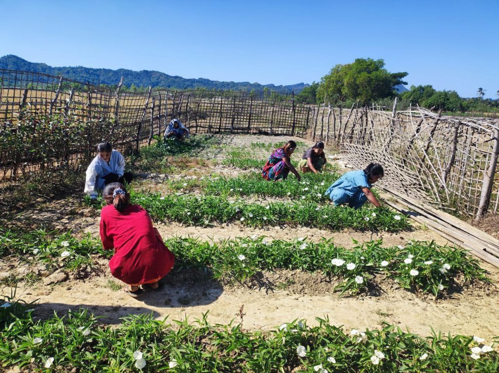 Six women crouch in a garden tending spinach plants. A wooden fence surrounds the garden and separates it from a wide open plain.