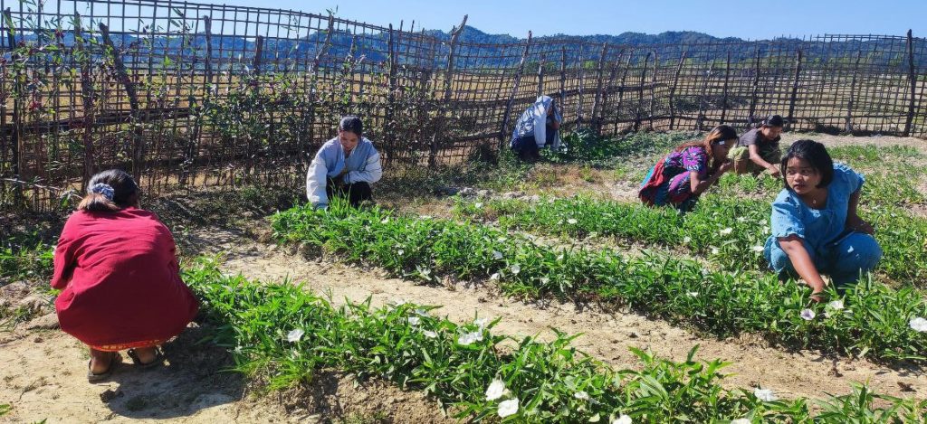 In Rakhine State, six women turned farming into financial independence 