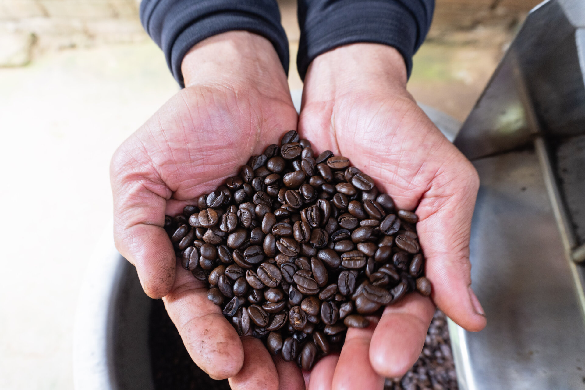 A pair of outstretched hands hold a pile of roasted coffee beans